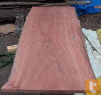 The grain exposed in dressed red gum timber